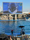 名古屋港水族館に投稿された画像（2023/12/25）