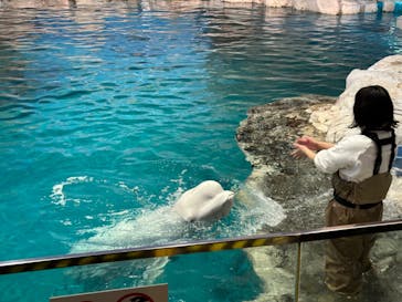 名古屋港水族館に投稿された画像（2023/12/25）