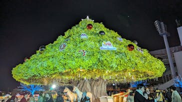 東京メガイルミに投稿された画像（2023/12/25）