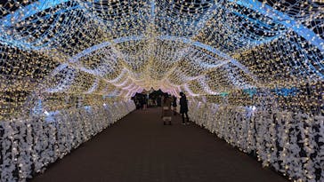 東京メガイルミに投稿された画像（2023/12/25）