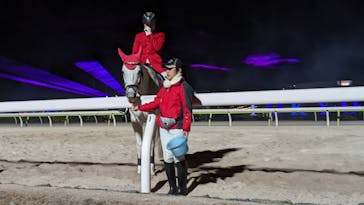 東京メガイルミに投稿された画像（2023/12/25）