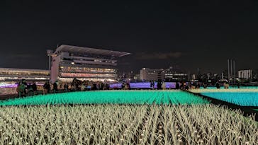 東京メガイルミに投稿された画像（2023/12/25）