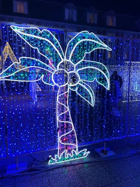 神戸イルミナージュに投稿された画像（2023/12/25）