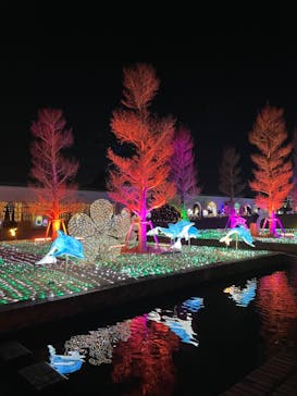 神戸イルミナージュに投稿された画像（2023/12/25）