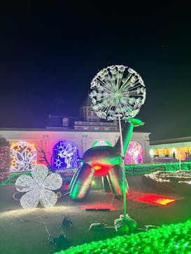 神戸イルミナージュに投稿された画像（2023/12/25）