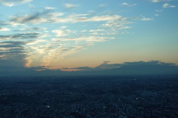 横浜ランドマークタワー 69階展望フロア スカイガーデンに投稿された画像（2023/12/25）