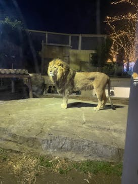 東武動物公園に投稿された画像（2023/12/25）