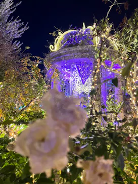 ひらかたパークに投稿された画像（2023/12/25）