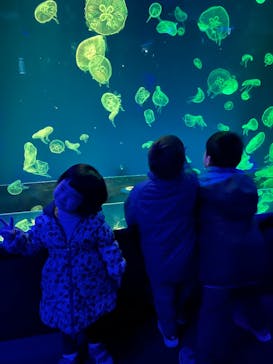 名古屋港水族館に投稿された画像（2023/12/25）