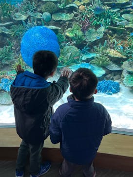 名古屋港水族館に投稿された画像（2023/12/25）