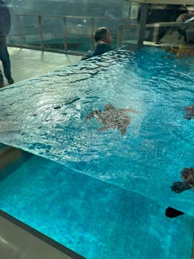 名古屋港水族館に投稿された画像（2023/12/25）