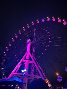 みろくの里に投稿された画像（2023/12/25）