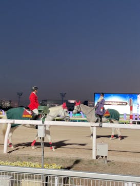 東京メガイルミに投稿された画像（2023/12/25）