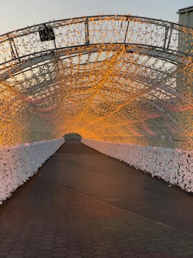 東京メガイルミに投稿された画像（2023/12/25）