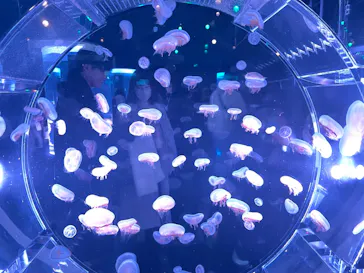 マクセル アクアパーク品川に投稿された画像（2023/12/25）