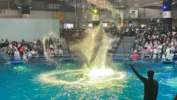 マクセル アクアパーク品川に投稿された画像（2023/12/25）