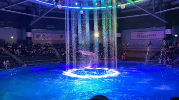 マクセル アクアパーク品川に投稿された画像（2023/12/25）