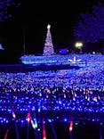 伊豆ぐらんぱる公園に投稿された画像（2023/12/25）