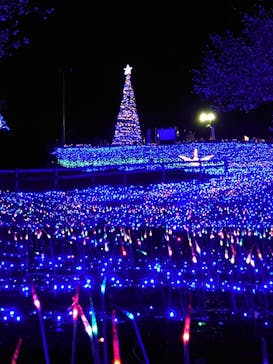 伊豆ぐらんぱる公園に投稿された画像（2023/12/25）