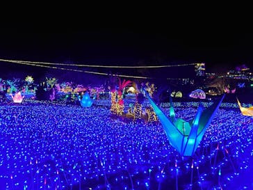 伊豆ぐらんぱる公園に投稿された画像（2023/12/25）