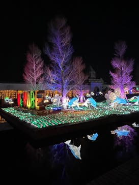 神戸イルミナージュに投稿された画像（2023/12/25）