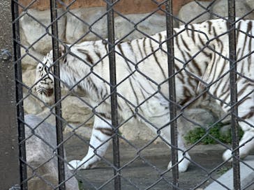 東武動物公園に投稿された画像（2023/12/25）