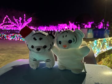 東武動物公園に投稿された画像（2023/12/25）