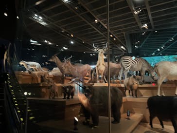 国立科学博物館に投稿された画像（2023/12/25）