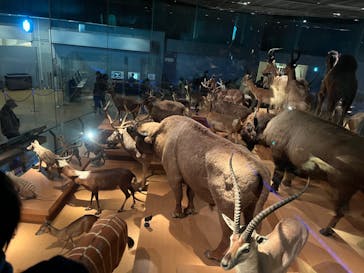 国立科学博物館に投稿された画像（2023/12/25）