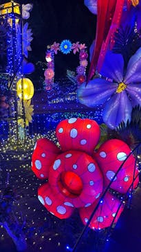 伊豆ぐらんぱる公園に投稿された画像（2023/12/25）