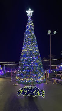 伊豆ぐらんぱる公園に投稿された画像（2023/12/25）