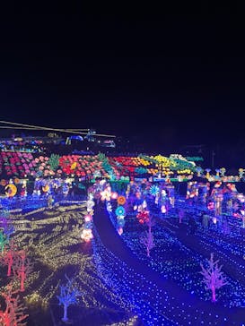 伊豆ぐらんぱる公園に投稿された画像（2023/12/25）