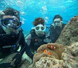 青の洞窟専門店　沖縄ダイビングショップ和に投稿された画像（2023/12/26）