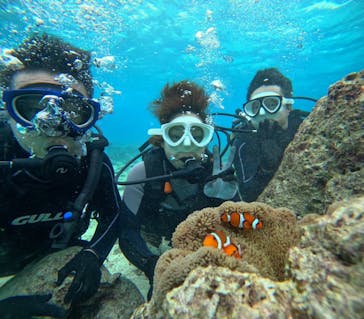 青の洞窟専門店　沖縄ダイビングショップ和に投稿された画像（2023/12/25）