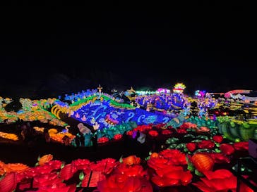 伊豆ぐらんぱる公園に投稿された画像（2023/12/25）