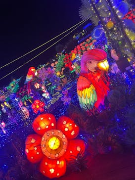 伊豆ぐらんぱる公園に投稿された画像（2023/12/25）