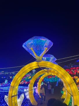 伊豆ぐらんぱる公園に投稿された画像（2023/12/25）