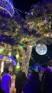 江の島シーキャンドルに投稿された画像（2023/12/25）