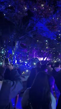 江の島シーキャンドルに投稿された画像（2023/12/25）