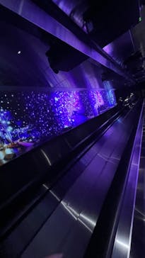 江の島シーキャンドルに投稿された画像（2023/12/25）