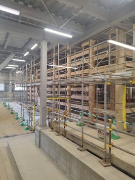 首里城公園 有料区域に投稿された画像（2023/12/25）