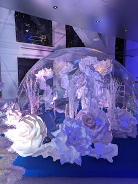 梅田スカイビル・空中庭園展望台に投稿された画像（2023/12/26）