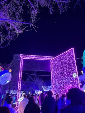 さがみ湖MORI MORIに投稿された画像（2023/12/26）