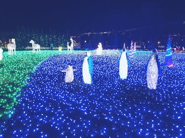 東武動物公園に投稿された画像（2023/12/26）
