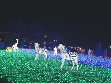 東武動物公園に投稿された画像（2023/12/26）