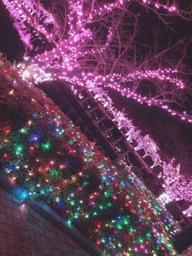 東武動物公園に投稿された画像（2023/12/26）