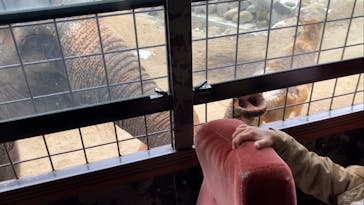 那須サファリパークに投稿された画像（2023/12/26）