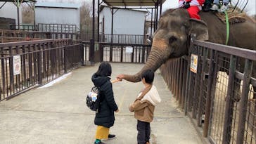 那須サファリパークに投稿された画像（2023/12/26）