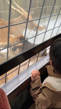 那須サファリパークに投稿された画像（2023/12/26）