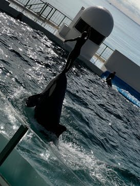 鴨川シーワールドに投稿された画像（2023/12/26）